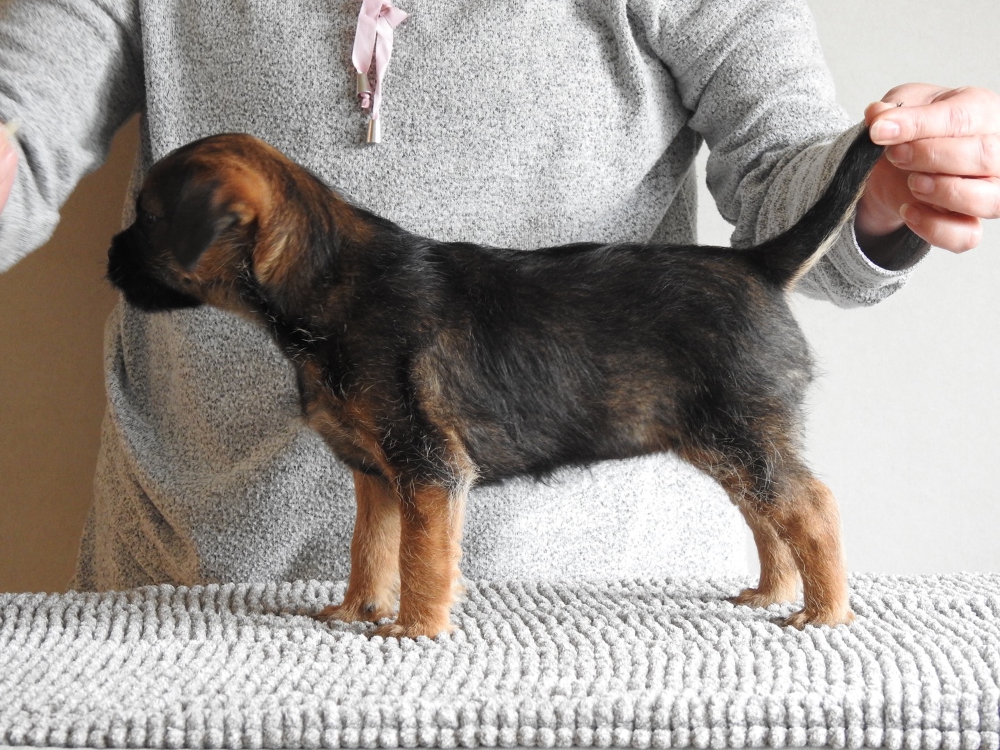 Allemoras Andra Hållet